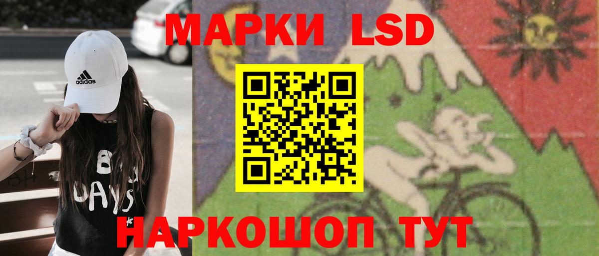 A-PVP Евпатория
