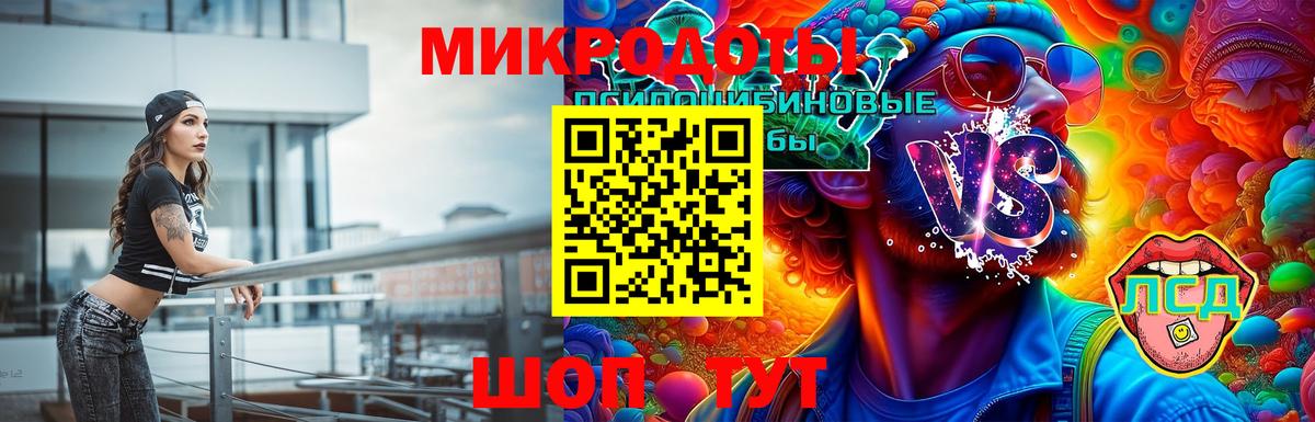 Галлюциногенные грибы Psilocybe Евпатория